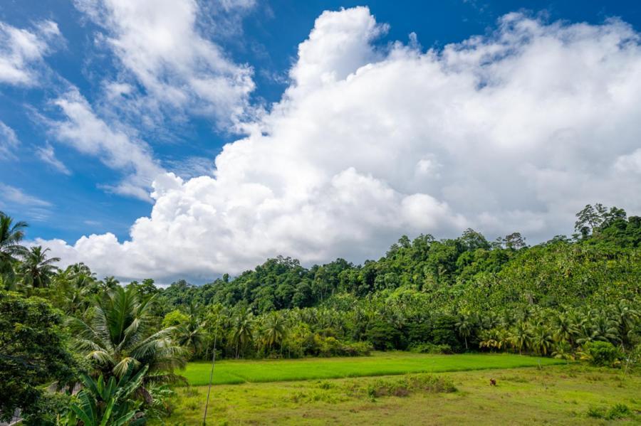 Anibesh Hotel Havelock Island Exterior photo
